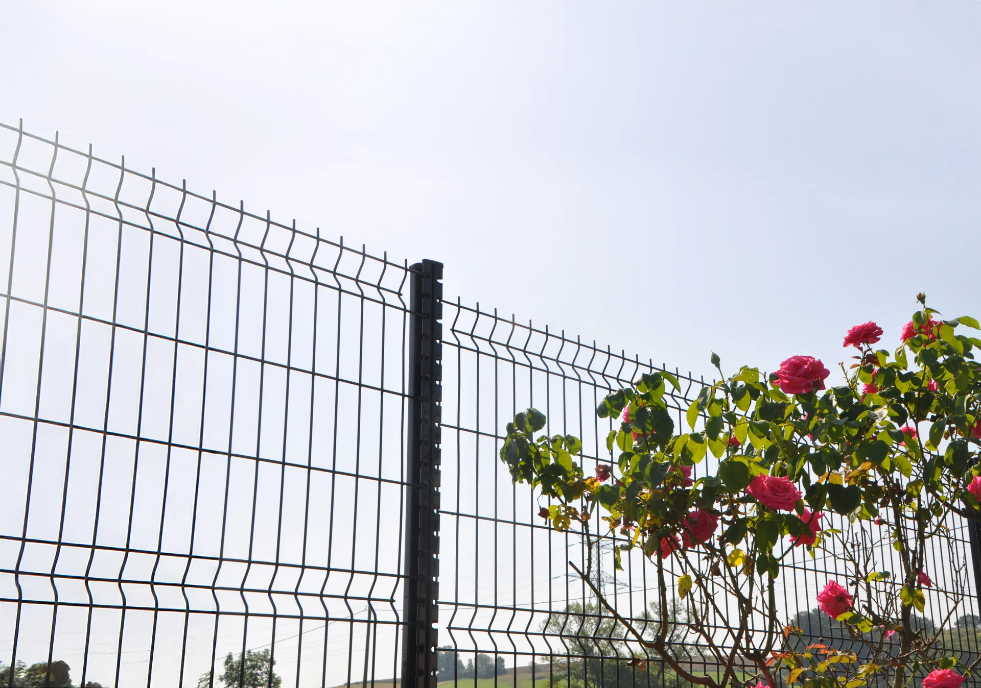 Cloture rigide pro max gris anthracite jardin rosiers